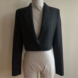 Aritzia Babaton Pinstripe Arbus Blazer